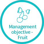 Management objective – Fruit 